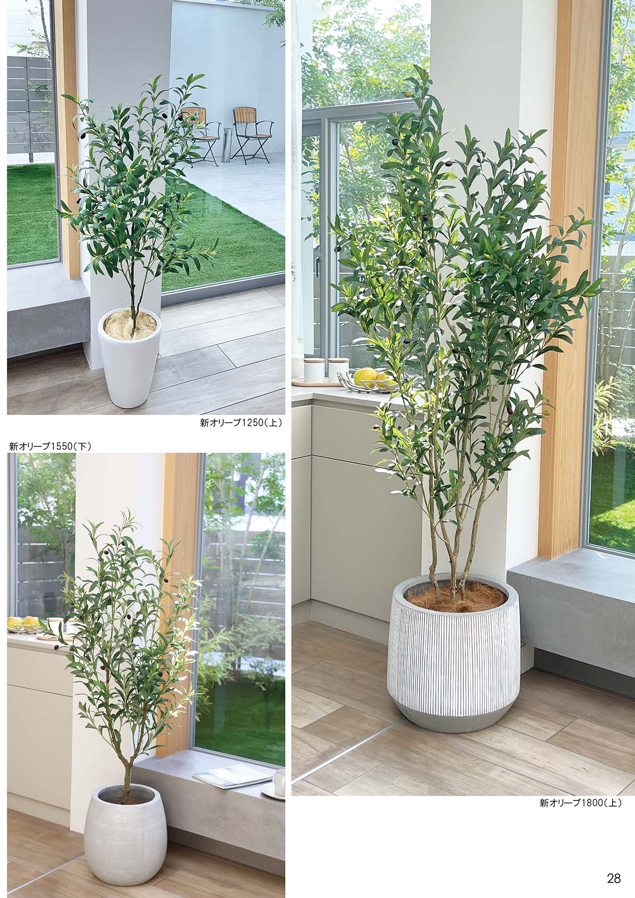 Green Coffret【グリーン コフレ】