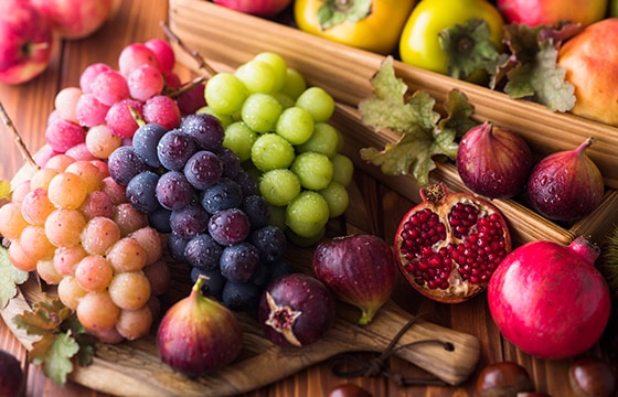 2025年秋特集 | greenery（グリーナリー）｜観葉植物・果樹・花木の専門店