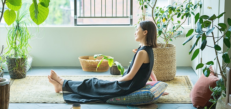 お部屋で涼しく過ごすためにおすすめな植物