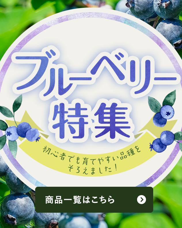 初心者でも育てやすい品種をそろえました！