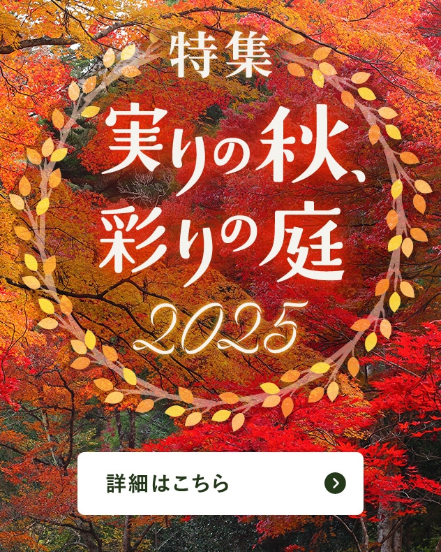 実り豊かな秋を彩る植物の楽しみ方をご提案します