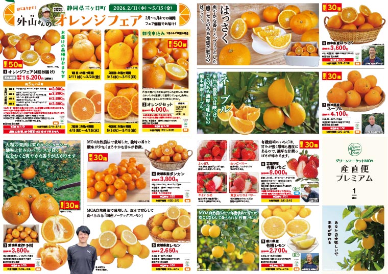 ���Υ���åԥ󥰥��饷ɽ�̲���