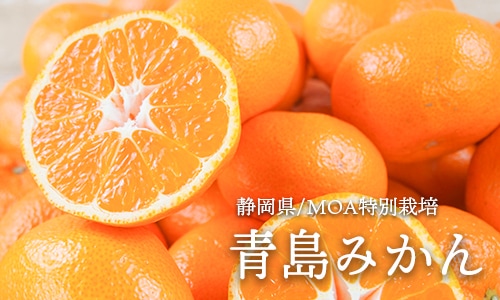 ����ߤ���