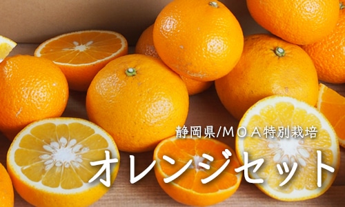 ����󥸥��å�