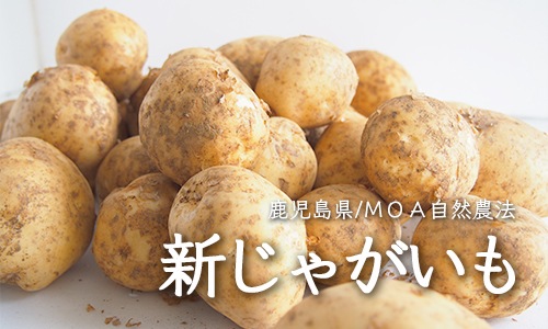 �����翷���㤬