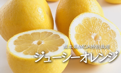 ���塼���������