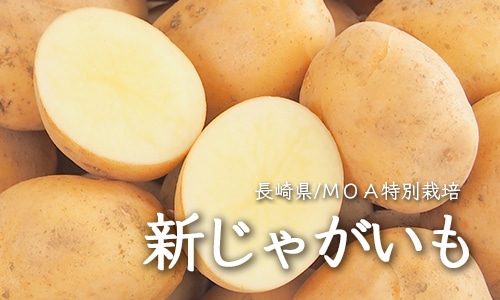 Ĺ�꿷���㤬