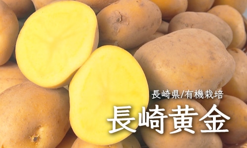 Ĺ�겫��