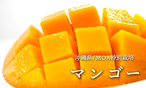 �ޥ󥴡�