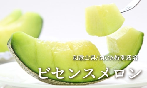 �ӥ��󥹥����