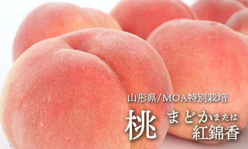 �ޤɤ����ˤ�