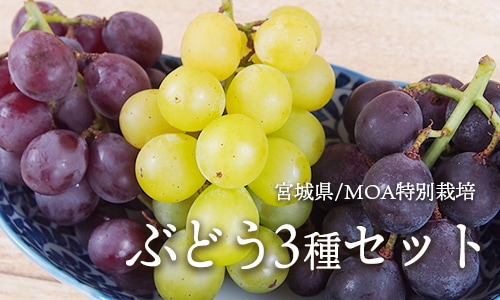 M�ä֤ɤ���