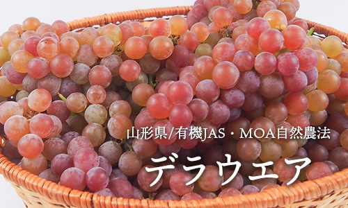 ͭ���ǥ饦����