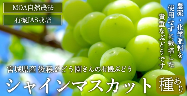 �ܾ븩���֤ɤ����㥤��ޥ����åȼ濫��