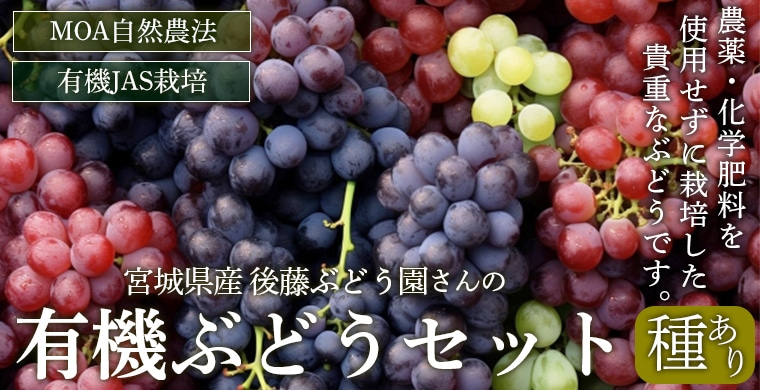 �ܾ븩���֤ɤ����å�