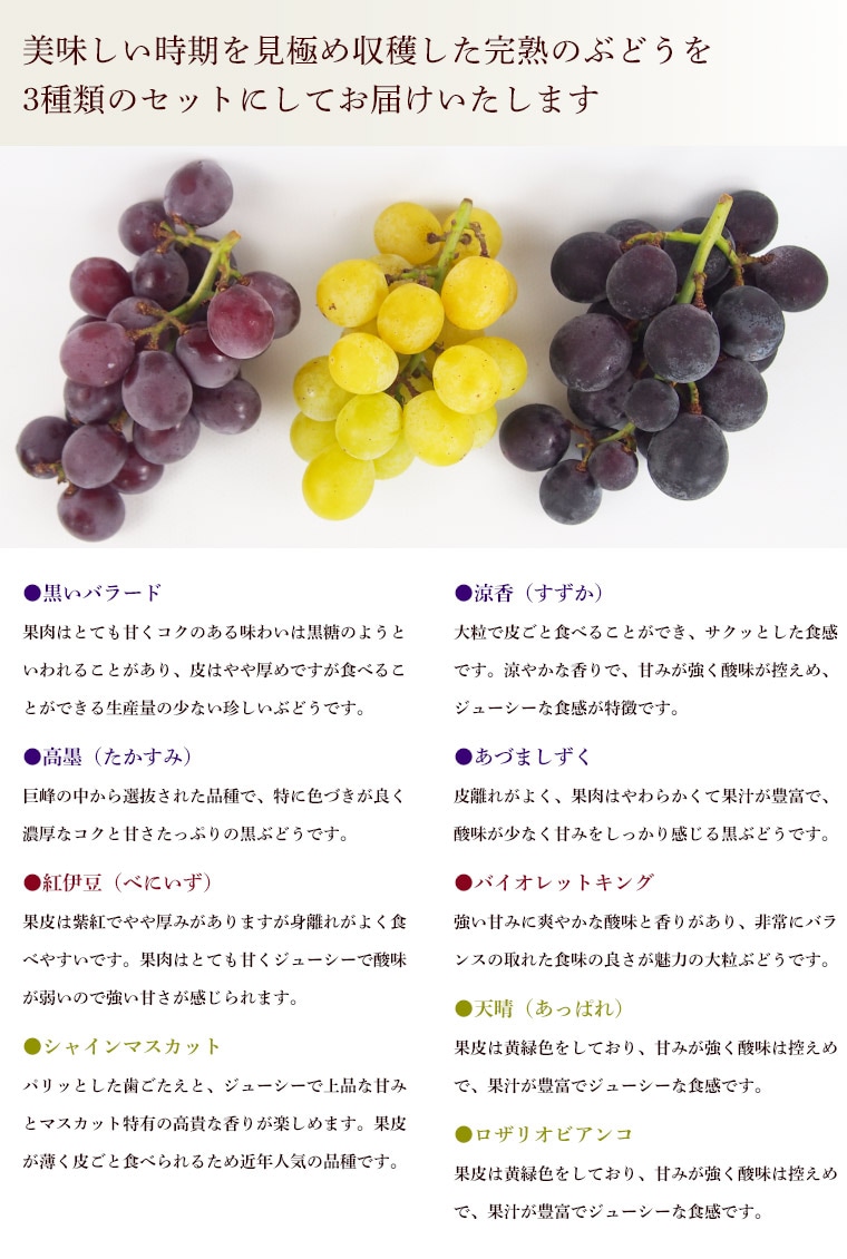 �֤ɤ�����ħ(7��8����碌���ʼ�)