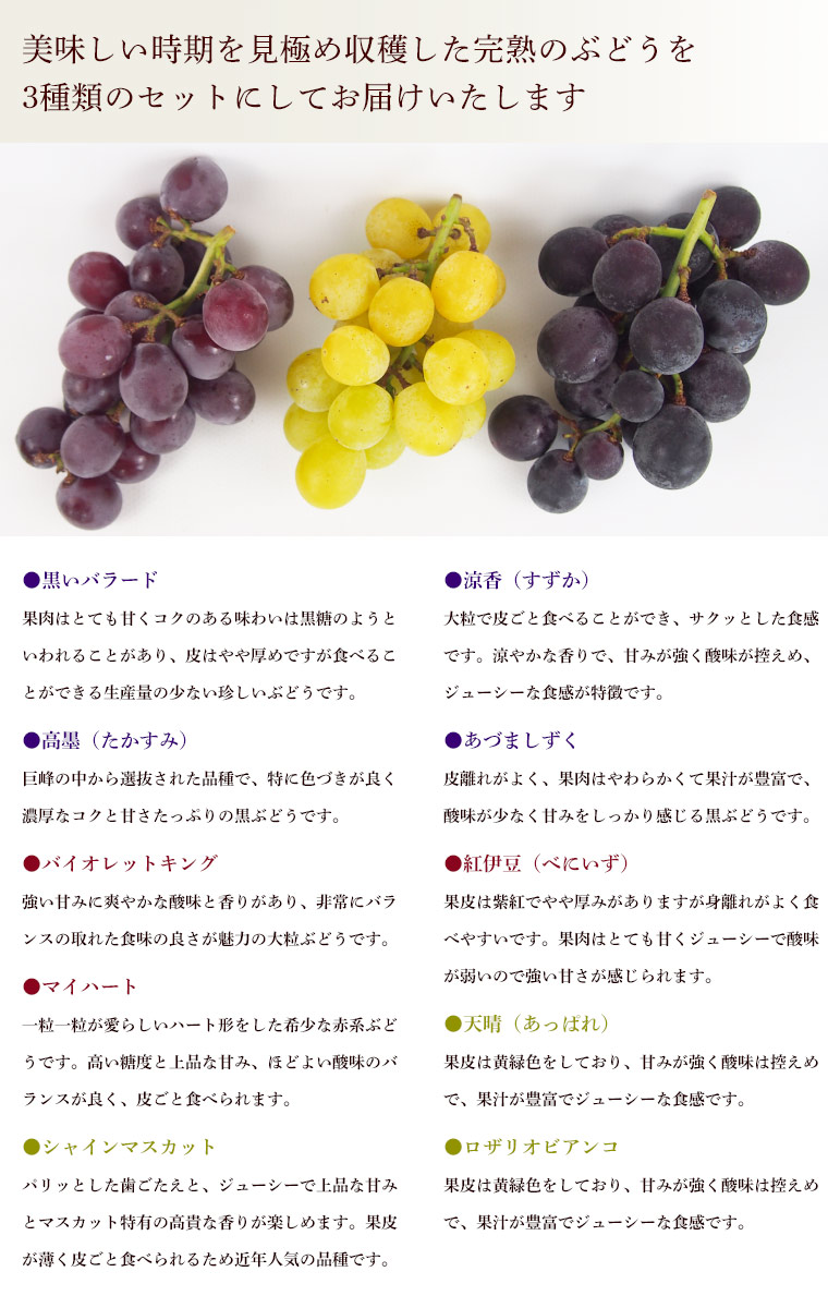 �֤ɤ�����ħ(7��8����碌���ʼ�)