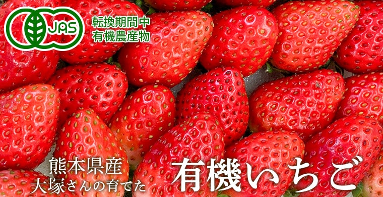 ���ܸ���ͭ��������
