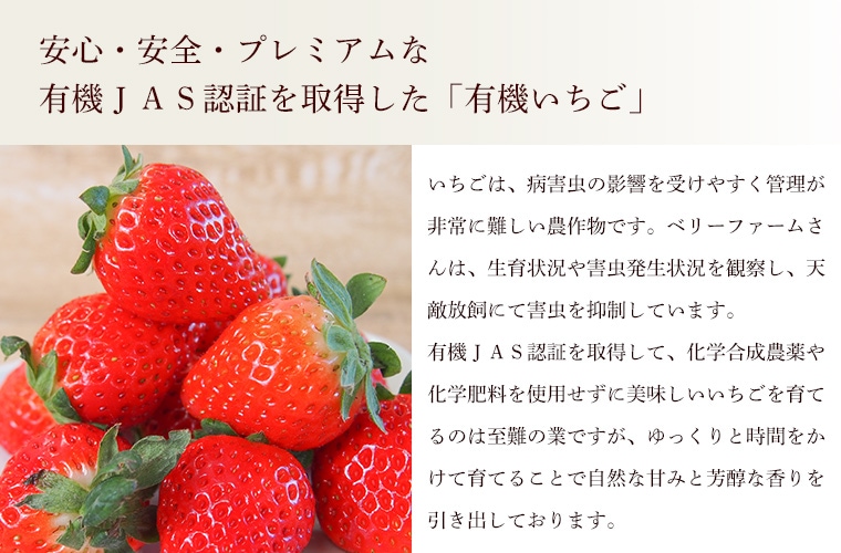 ������ͭ��������