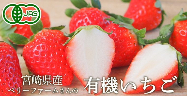 �ܺ긩��ͭ��������