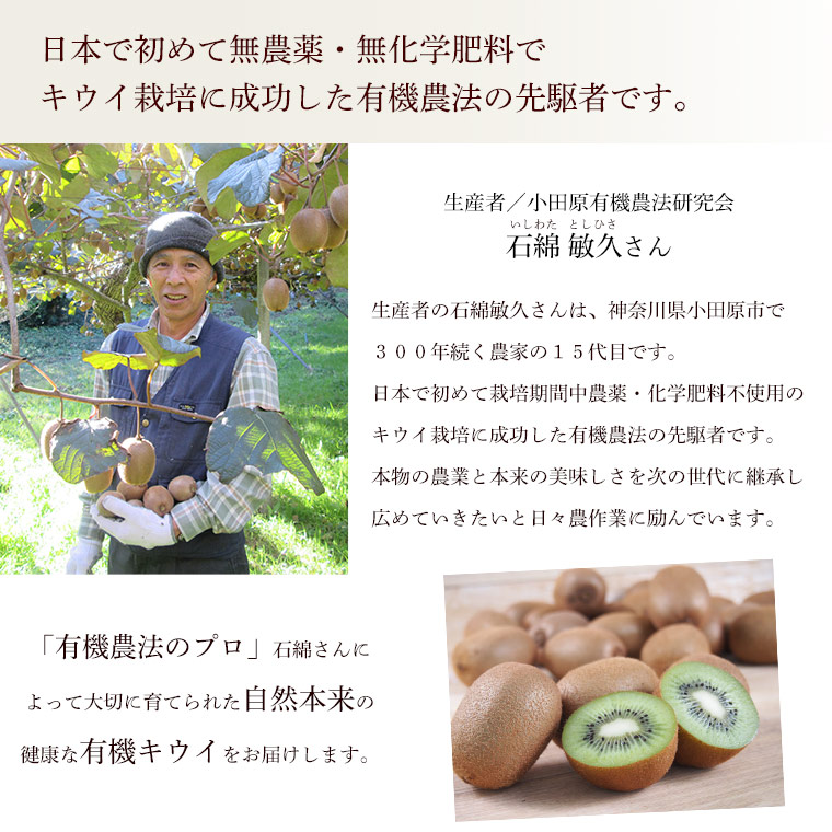 �����������ҵפ���