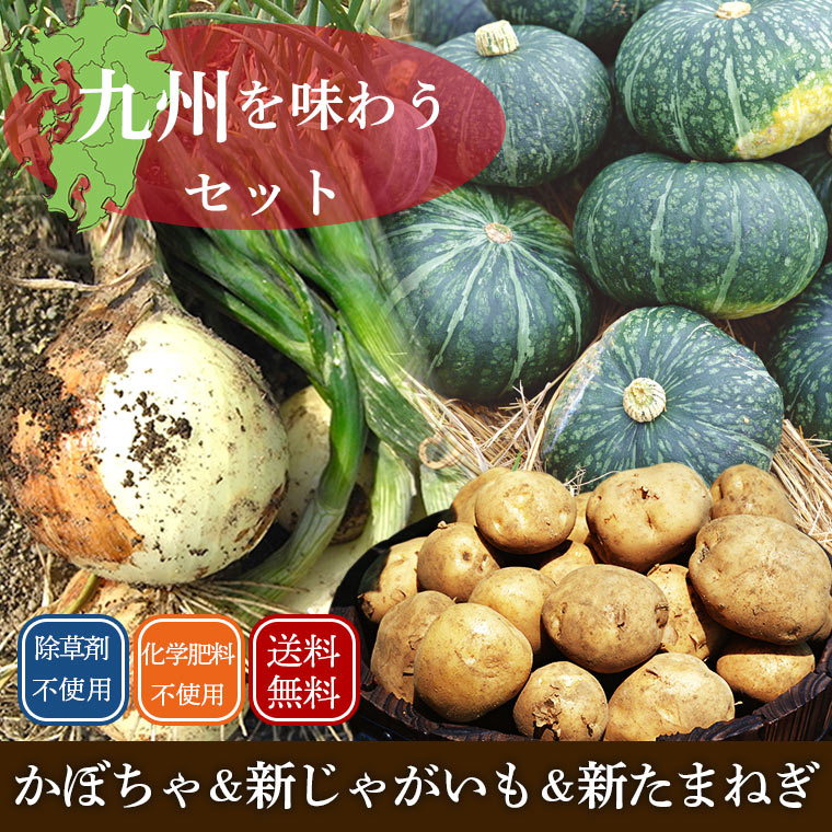 �彣���åȤ��ܤ��㿷���㤬���⿷���ޤͤ�