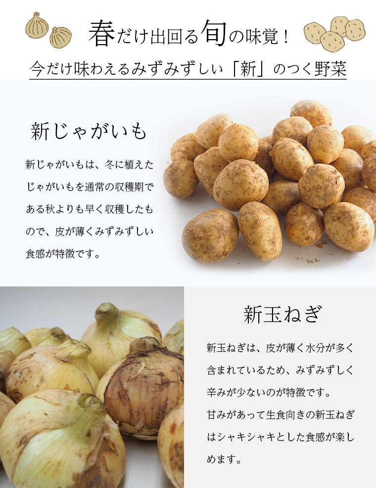 Ĺ�긩�������㤬����������ޤͤ�