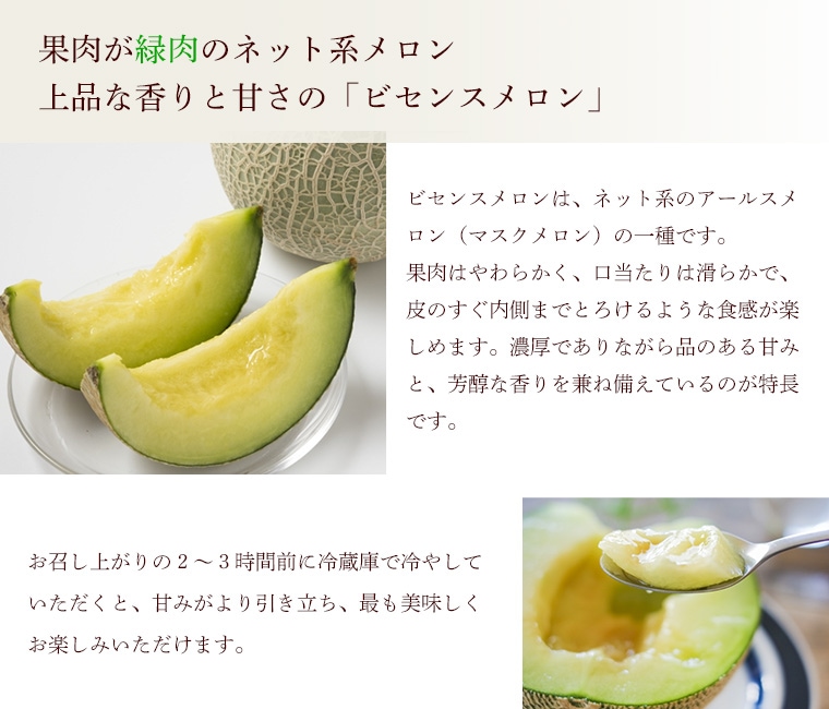�ӥ��󥹥�������ħ
