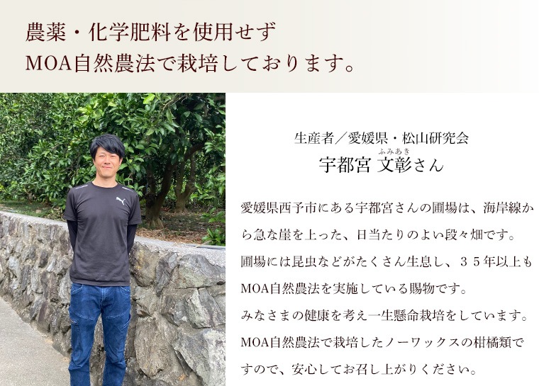 �����԰�ɲ��ڲ��Ե�ʸ������