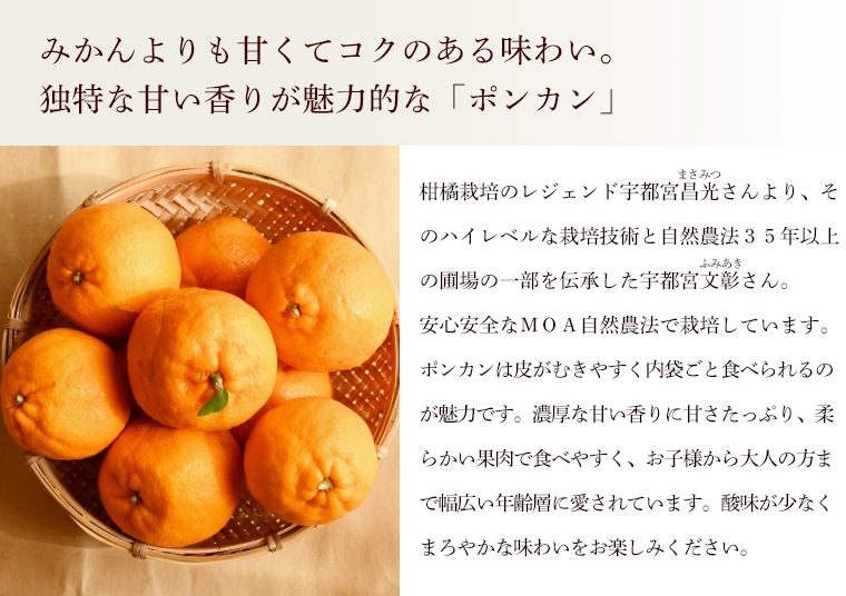 �ݤ󤫤���ħ