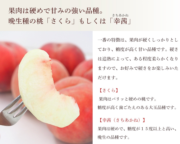 �����顢�⤷���Ϲ�������������