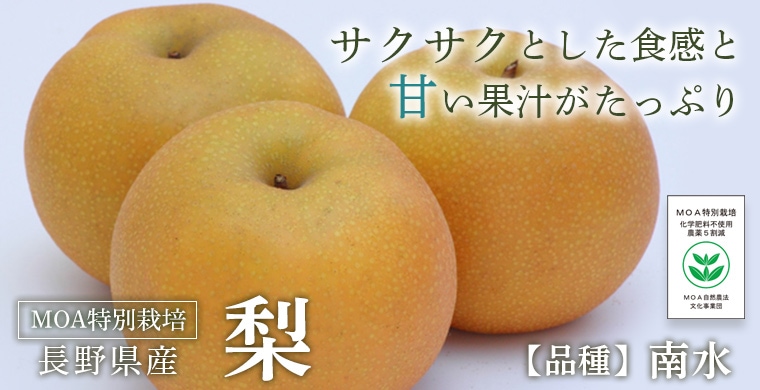 Ĺ������󤵤�ե�����������