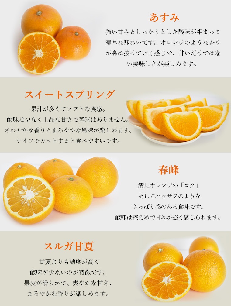 オレンジセット（3月お届け分）