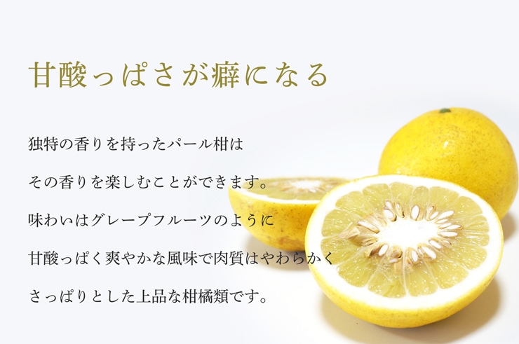 �ѡ��봻����ħ