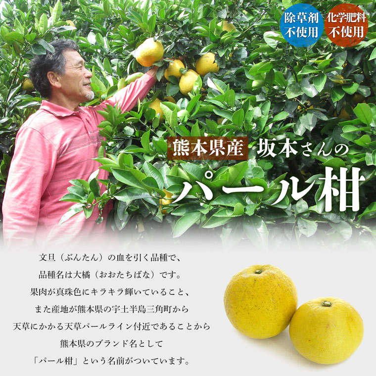 ���ܸ����ѡ��봻