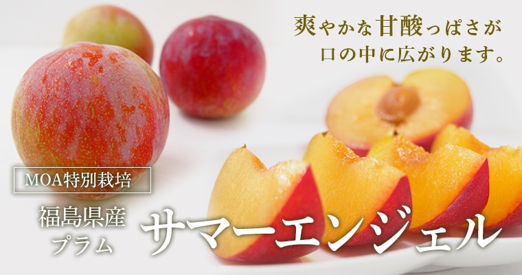 ʡ�縩���ץ�ॵ�ޡ����󥸥���