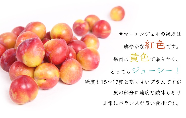 ���ޡ����󥸥������ħ