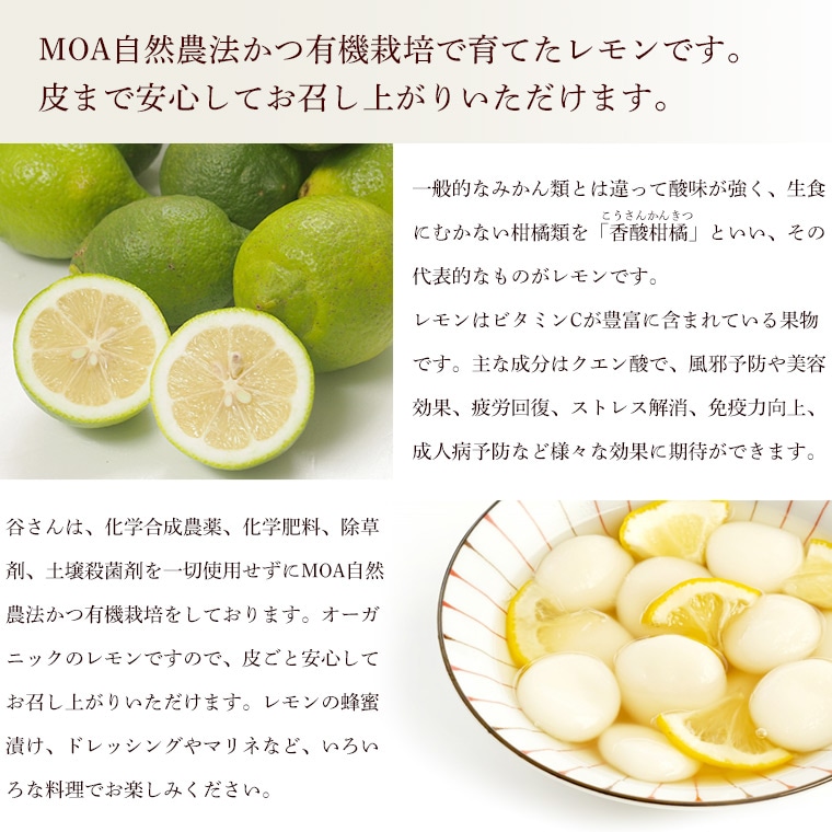 ������ħ