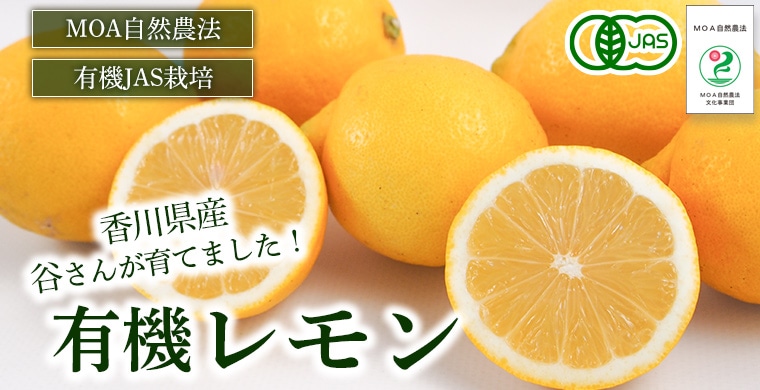 ���������