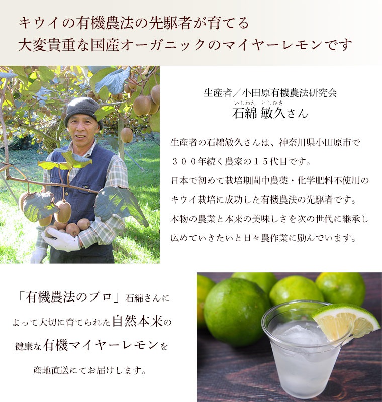 �����������ҵפ���