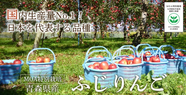 青森県産ふじりんご