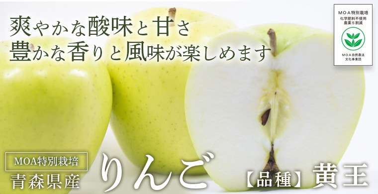 �Ŀ�������󤴲���