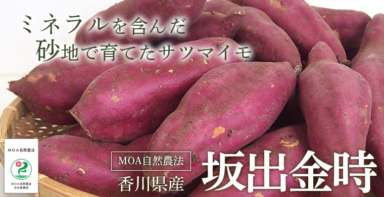 産地直送】香川県産 さつまいも 坂出金時 ≪送料込み≫ | 産地直送 | | Green Market オンラインショップ