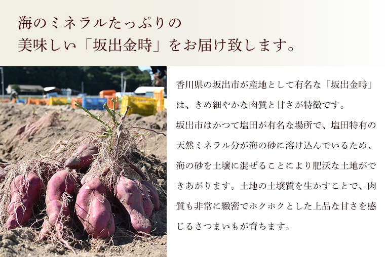 産地直送】香川県産 さつまいも 坂出金時 ≪送料込み≫ | 産地直送 | | Green Market オンラインショップ