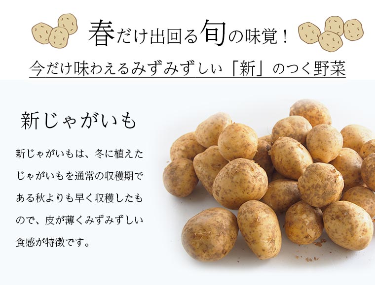 �դ����νܤ�̣��