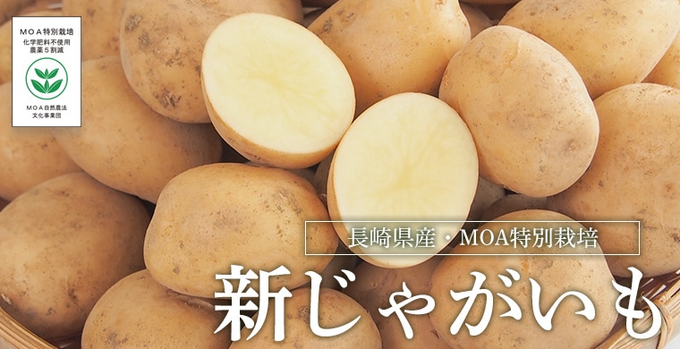 Ĺ�긩�������㤬����