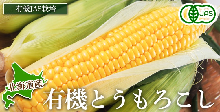 �̳�ƻ�Ȥ��������