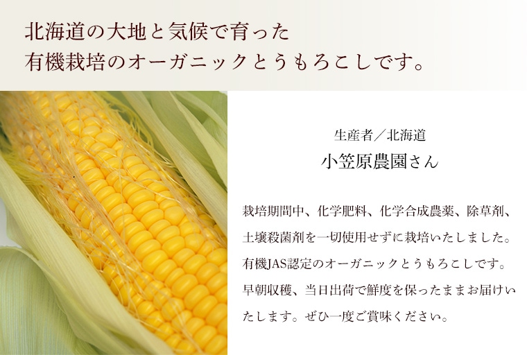 �����Ծ��޸����व��Τ������