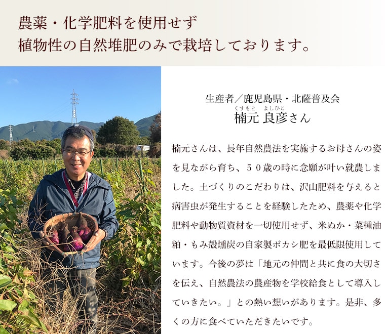 【産地直送】鹿児島県産　紫山芋（むらさきやまいも）　［土付き］　≪送料込み≫-Green Market オンラインショップ