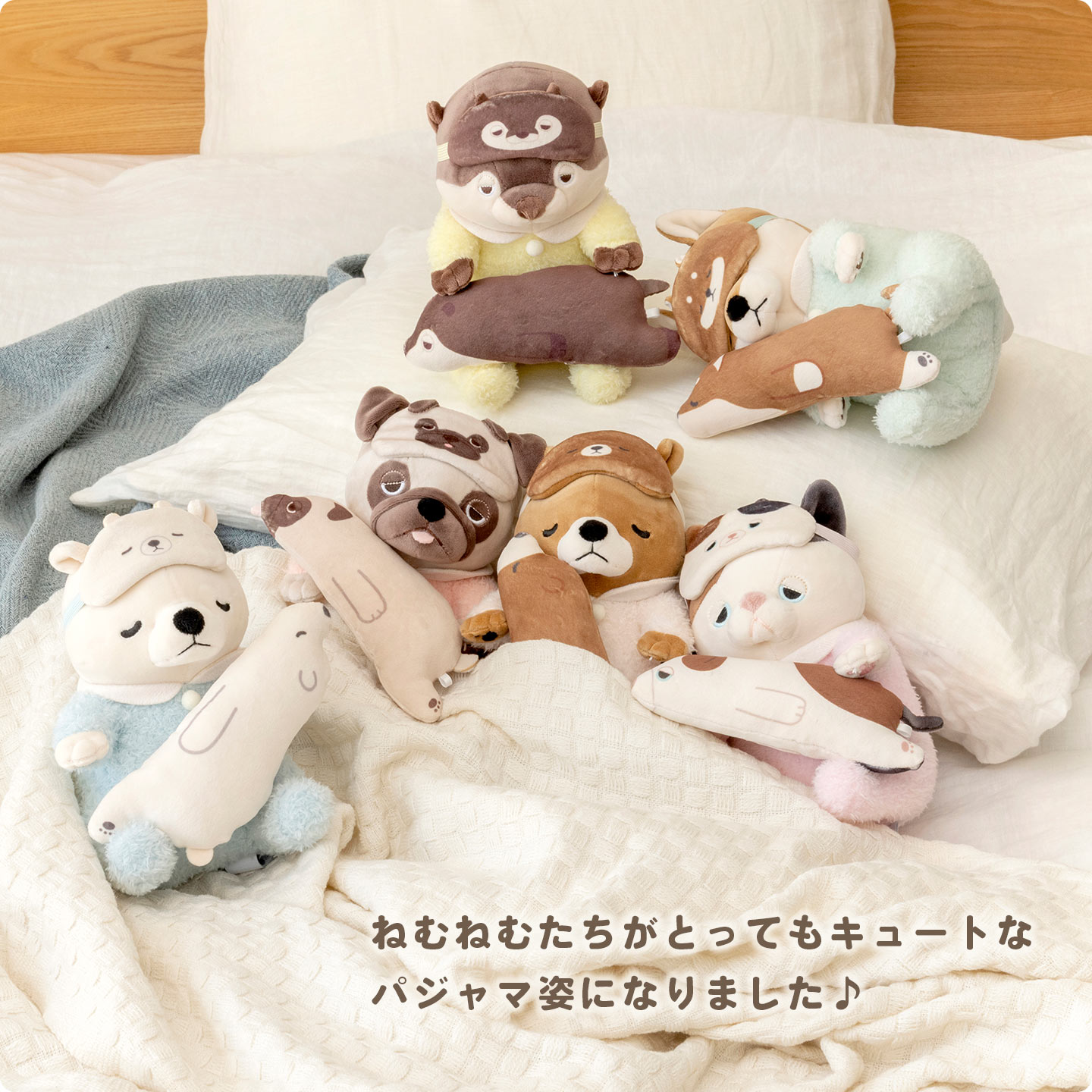 ねむねむ10周年限定 お座り抱きまくら hauhau 通販